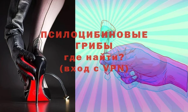 ГАЛЛЮЦИНОГЕННЫЕ ГРИБЫ Пересвет