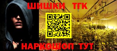 jwh Бийск