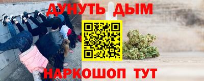 jwh Бийск