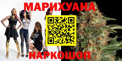 jwh Бийск