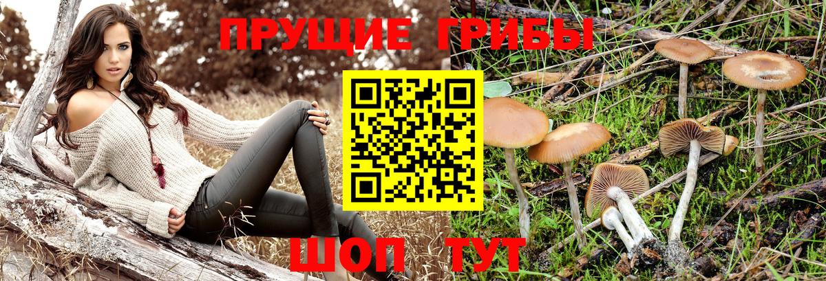 Псилоцибиновые грибы MAGIC MUSHROOMS Великие Луки